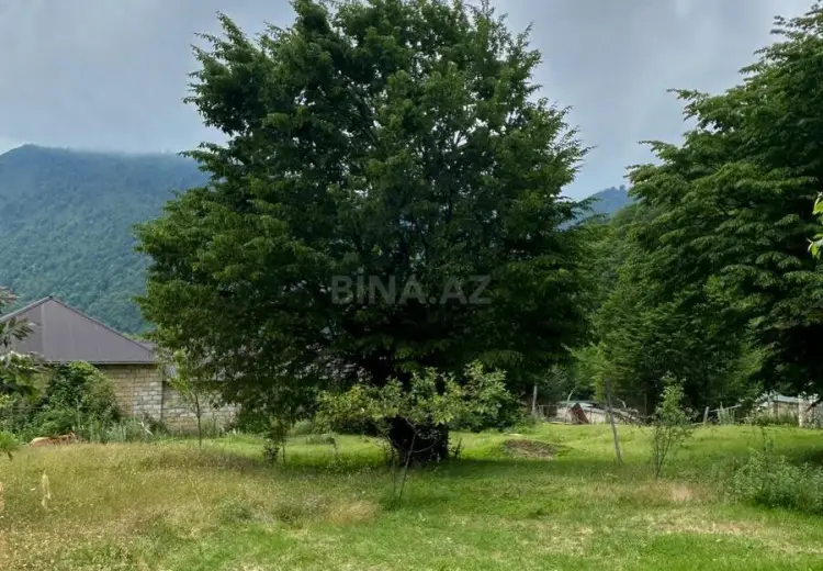 10 sot Torpaq Satılır, Qəbələ