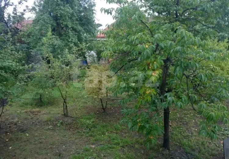3 otaqlı mənzil , Şəki
