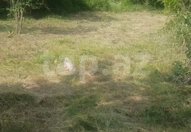 0 m² Obyekt / Ofis , İsmayıllı