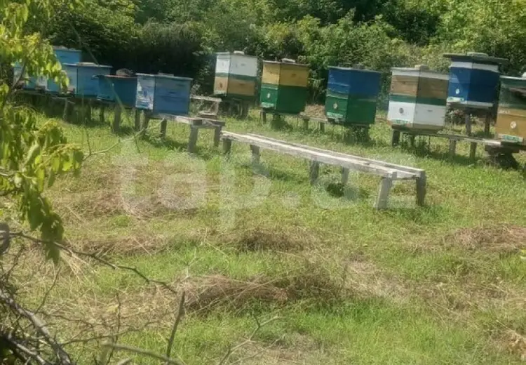 0 m² Obyekt / Ofis , İsmayıllı