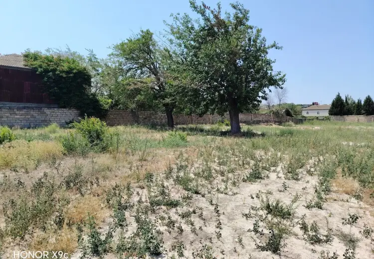 4 sot Torpaq Satılır, Goradil, Abşeron
