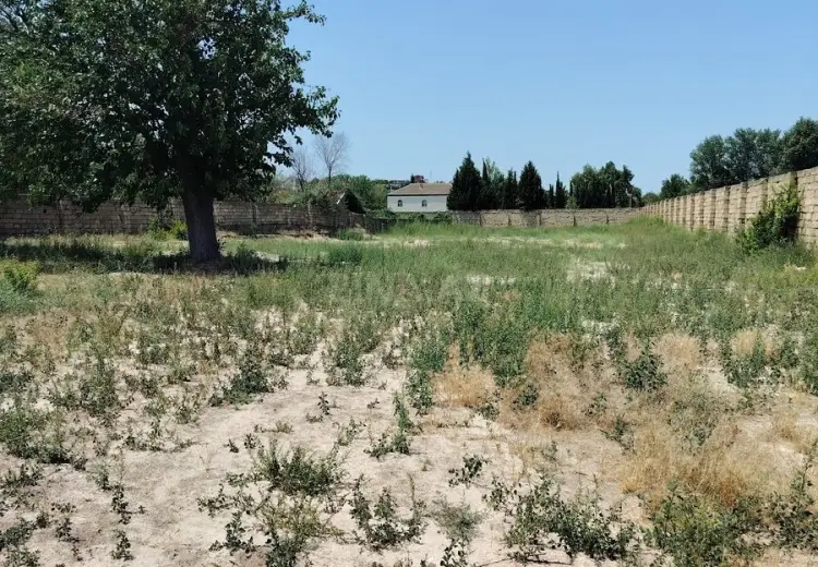 4 sot Torpaq Satılır, Goradil, Abşeron