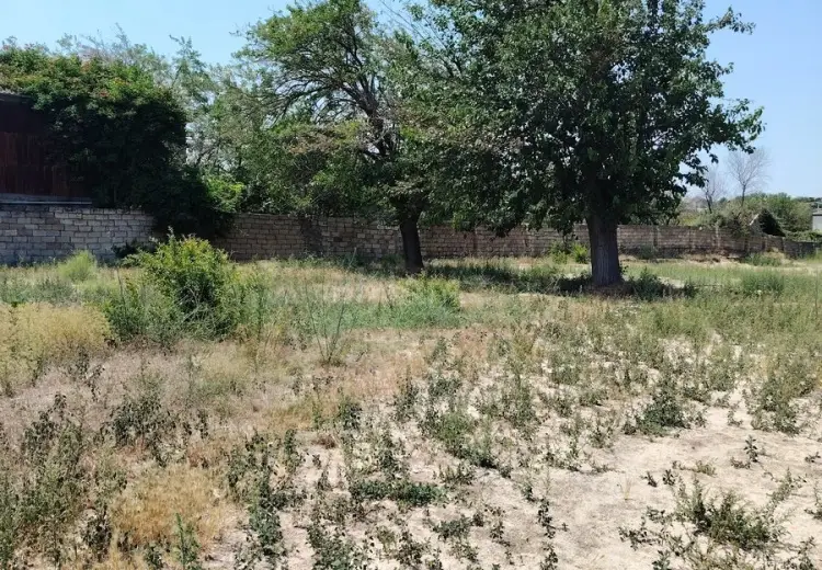 4 sot Torpaq Satılır, Goradil, Abşeron