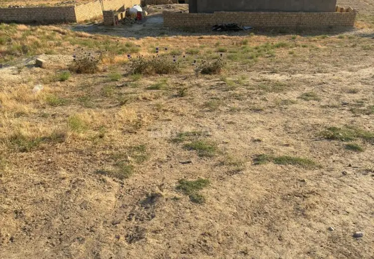 3 sot Torpaq Satılır, Novxanı, Abşeron