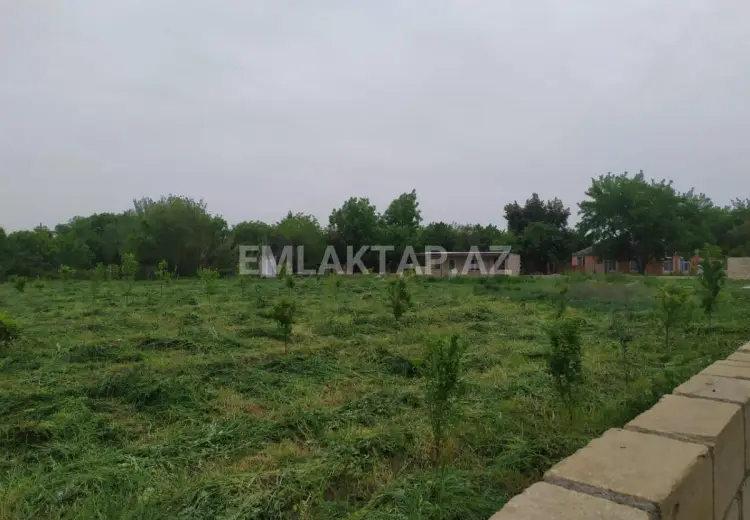 40 sot Torpaq Satılır, Tərtər