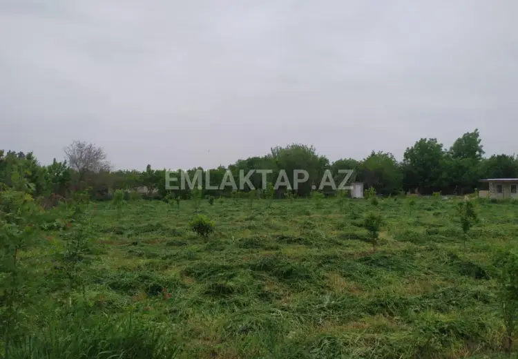 40 sot Torpaq Satılır, Tərtər