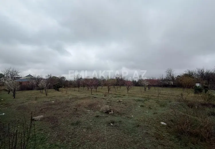 40 sot Torpaq Satılır, Tərtər