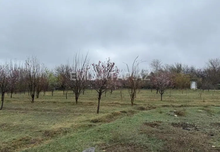 40 sot Torpaq Satılır, Tərtər