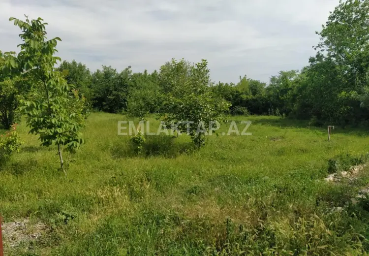 40 sot Torpaq Satılır, Tərtər