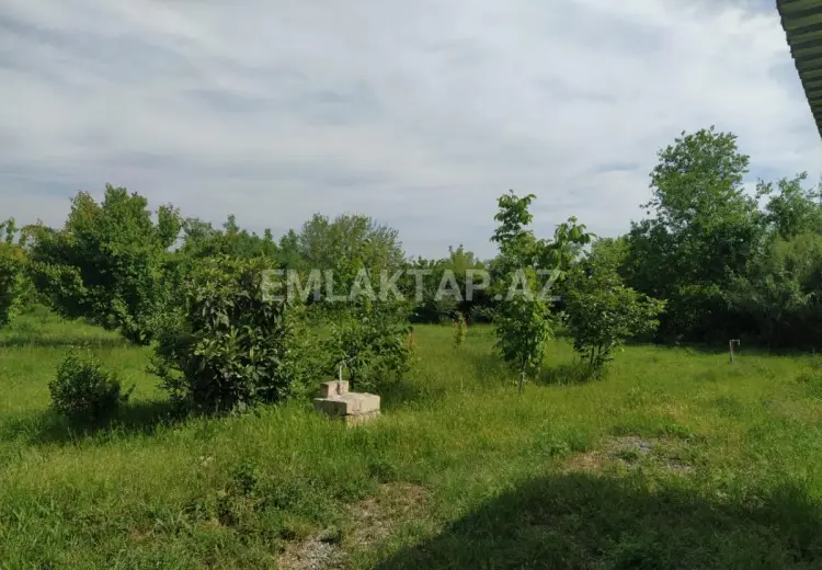 40 sot Torpaq Satılır, Tərtər