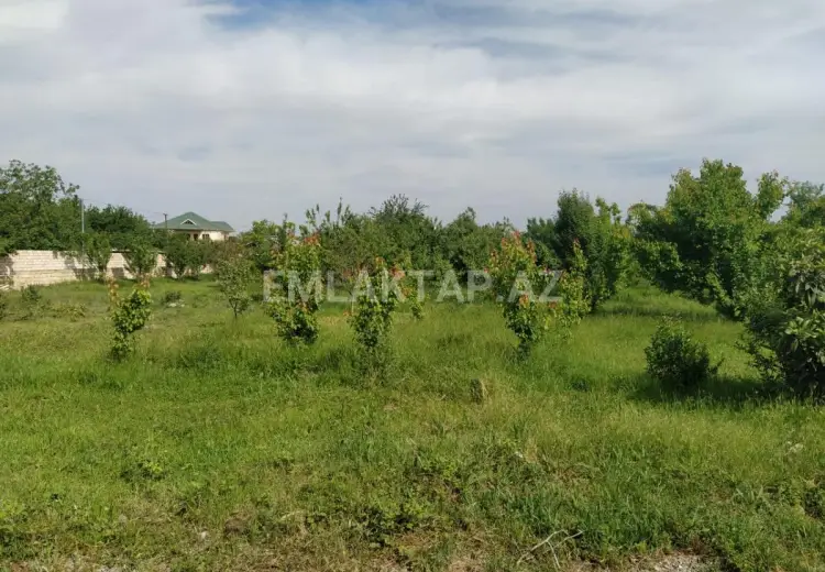 40 sot Torpaq Satılır, Tərtər