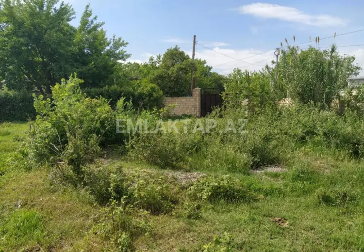 40 sot Torpaq Satılır, Tərtər