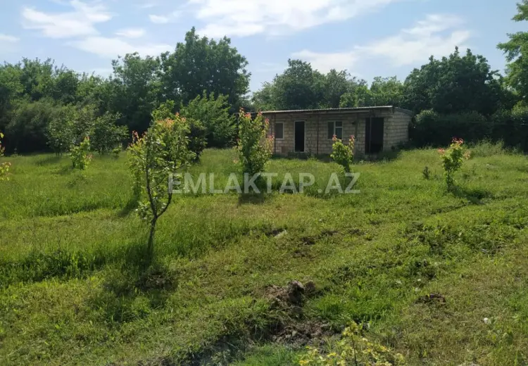 40 sot Torpaq Satılır, Tərtər