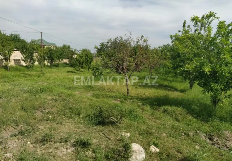 40 sot Torpaq Satılır, Tərtər