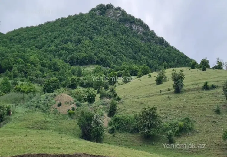 12 sot Torpaq Satılır, Siyəzən