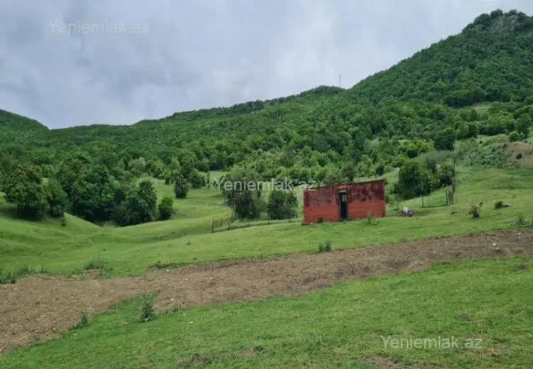 12 sot Torpaq Satılır, Siyəzən