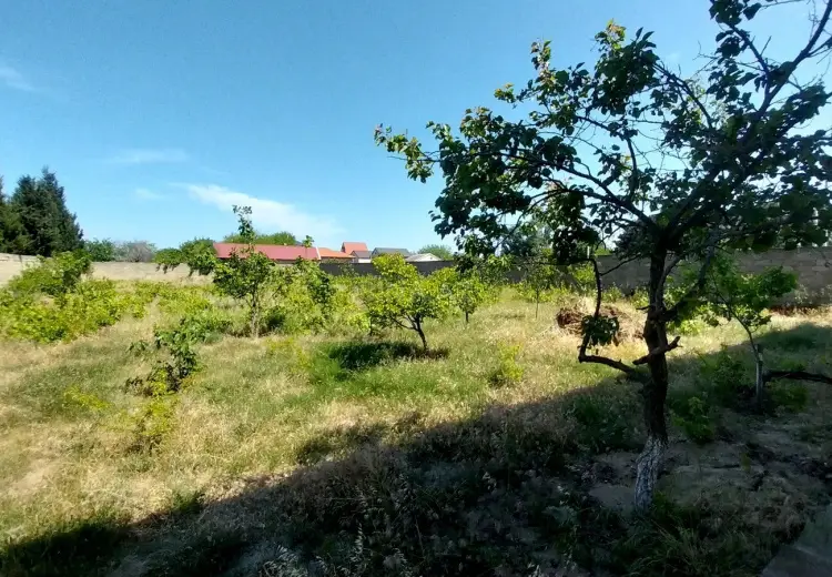 24 sot Torpaq Satılır, Goradil, Abşeron
