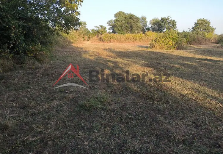21 sot Torpaq Satılır, Qəbələ