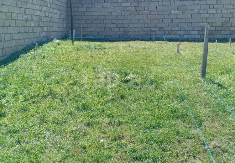 0 m² Obyekt / Ofis , Bakı