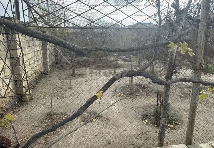 0 m² Obyekt / Ofis , Sumqayıt