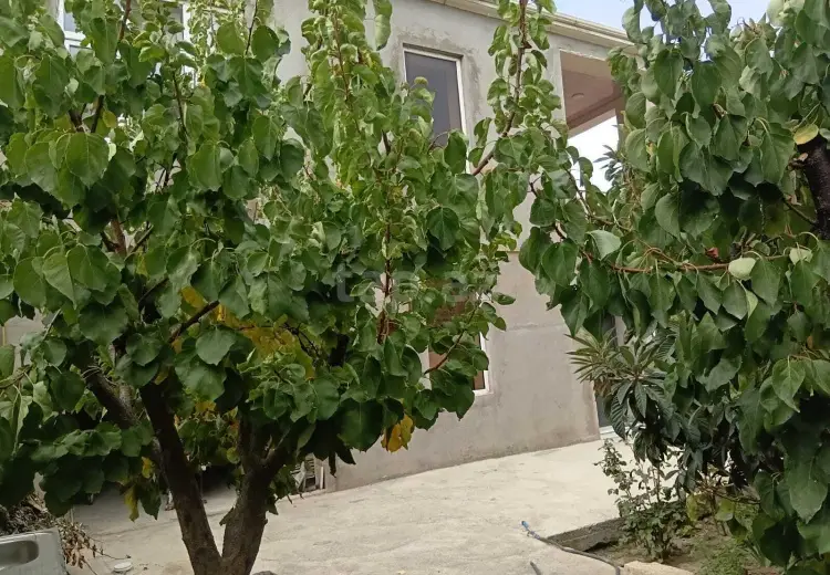 3 otaqlı mənzil , Sumqayıt