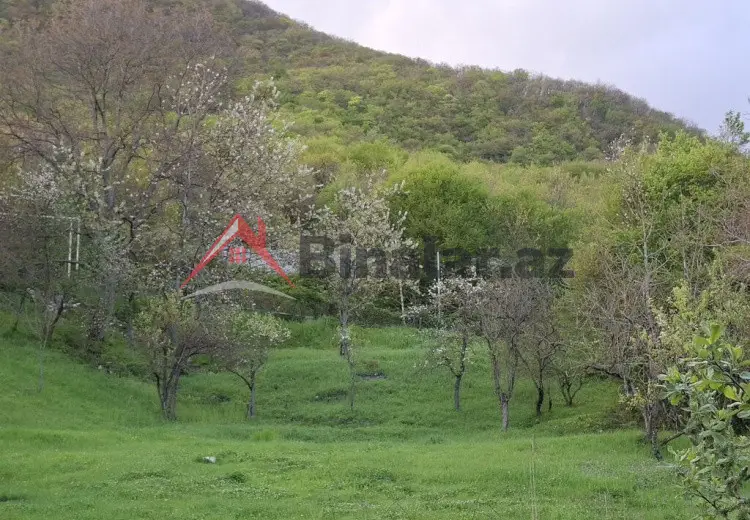 0 sot Torpaq Satılır, Şamaxı