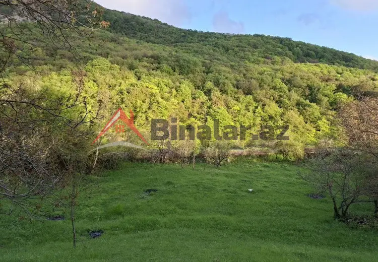 0 sot Torpaq Satılır, Şamaxı