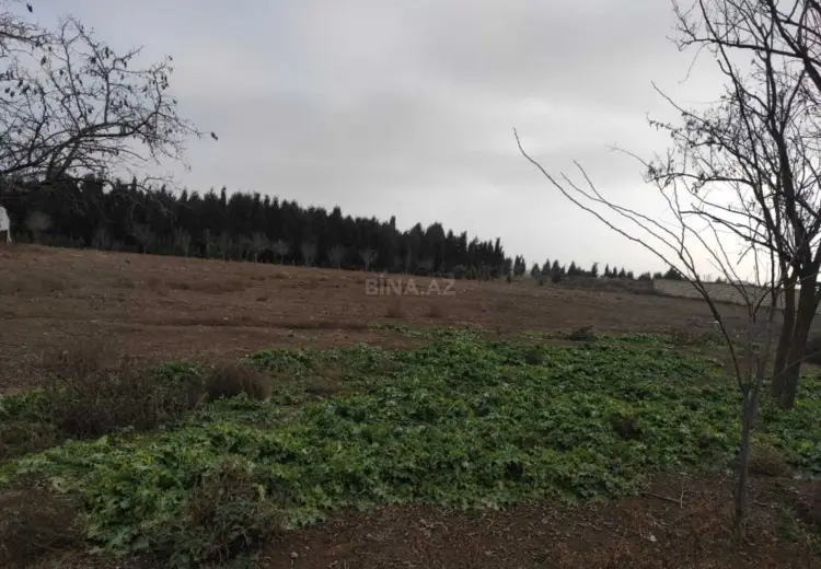 34 sot Torpaq Satılır, Samux