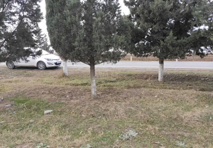 34 sot Torpaq Satılır, Samux