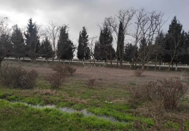34 sot Torpaq Satılır, Samux