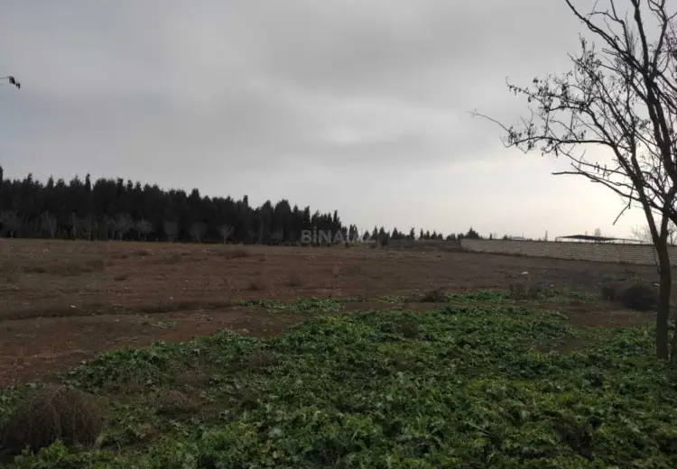 34 sot Torpaq Satılır, Samux