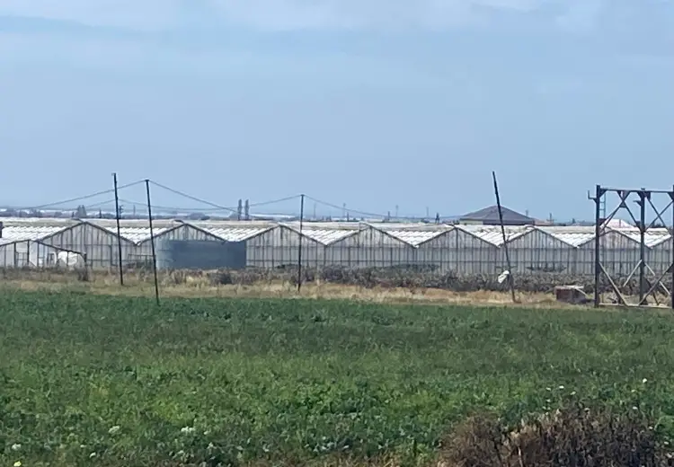 0 m² Obyekt / Ofis , Zirə, Xəzər, Bakı