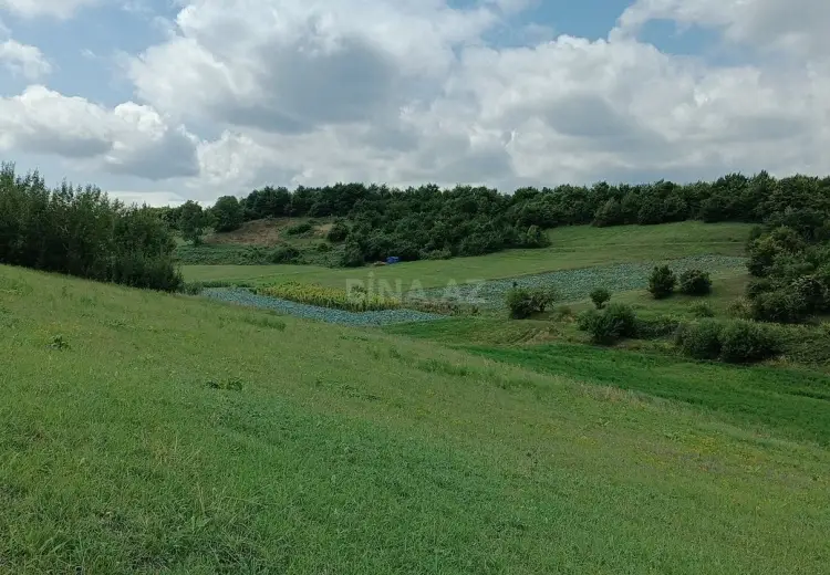 7 sot Torpaq Satılır, Qusar