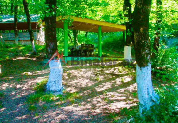 0 m² Obyekt / Ofis Satılır, Şabran