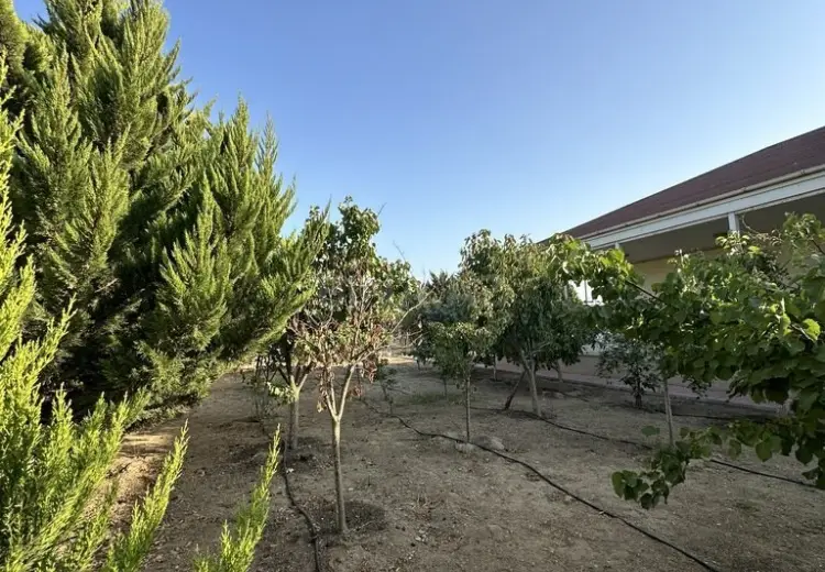 12 sot Torpaq Satılır, Şüvəlan, Xəzər, Bakı