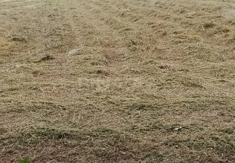 90 sot Torpaq Satılır, Ağdam