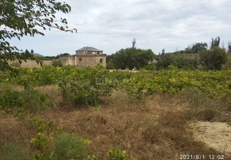 6 sot Torpaq Satılır, Pirşağı qəs., Sabunçu, Bakı