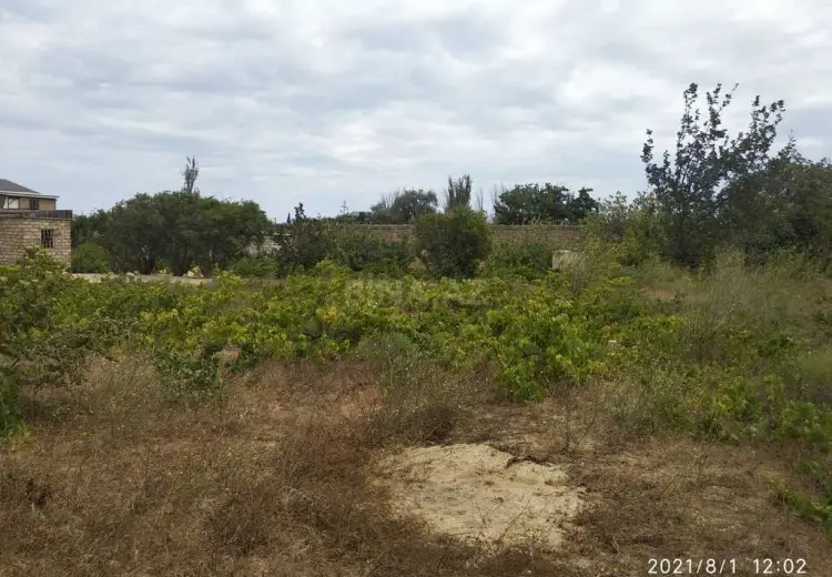 6 sot Torpaq Satılır, Pirşağı qəs., Sabunçu, Bakı