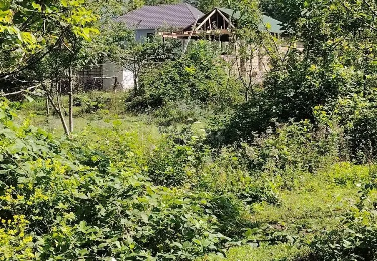 20 sot Torpaq Satılır, Qəbələ