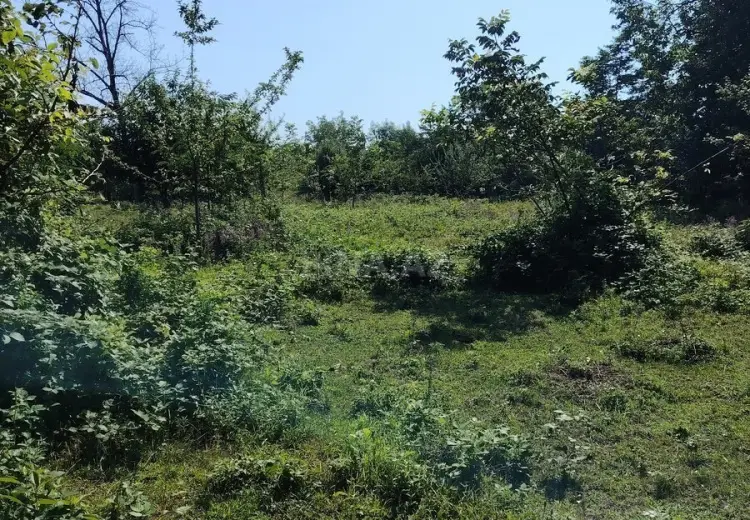 20 sot Torpaq Satılır, Qəbələ
