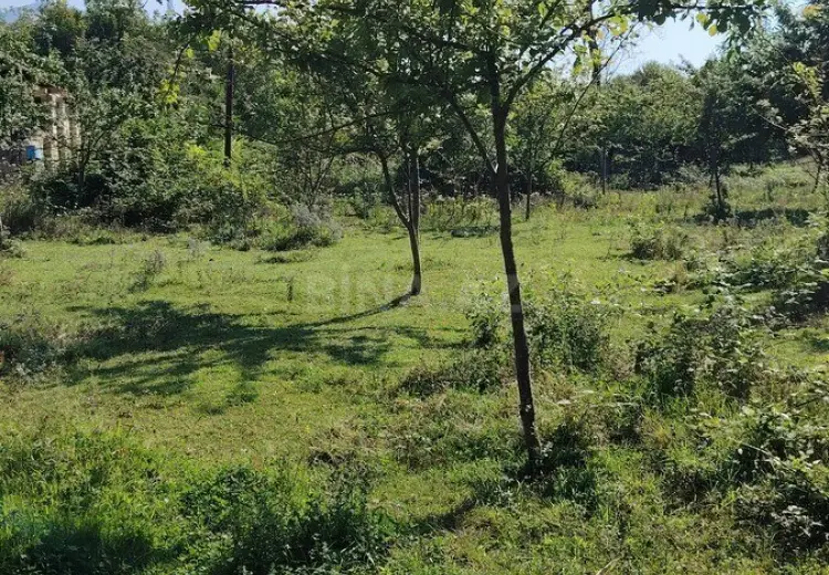 20 sot Torpaq Satılır, Qəbələ