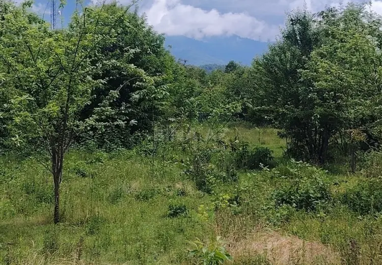 20 sot Torpaq Satılır, Qəbələ
