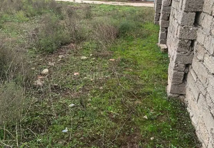 3 sot Torpaq Satılır, Buzovna, Xəzər, Bakı