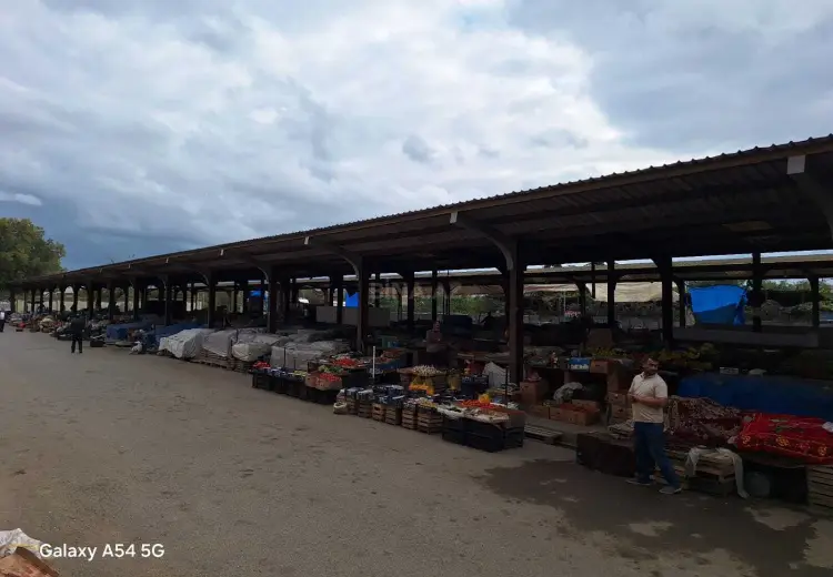 24 sot Torpaq Satılır, Masallı
