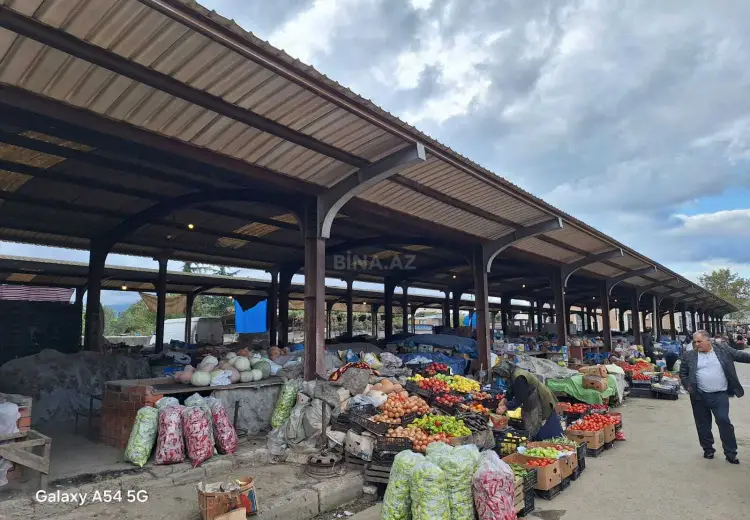 24 sot Torpaq Satılır, Masallı