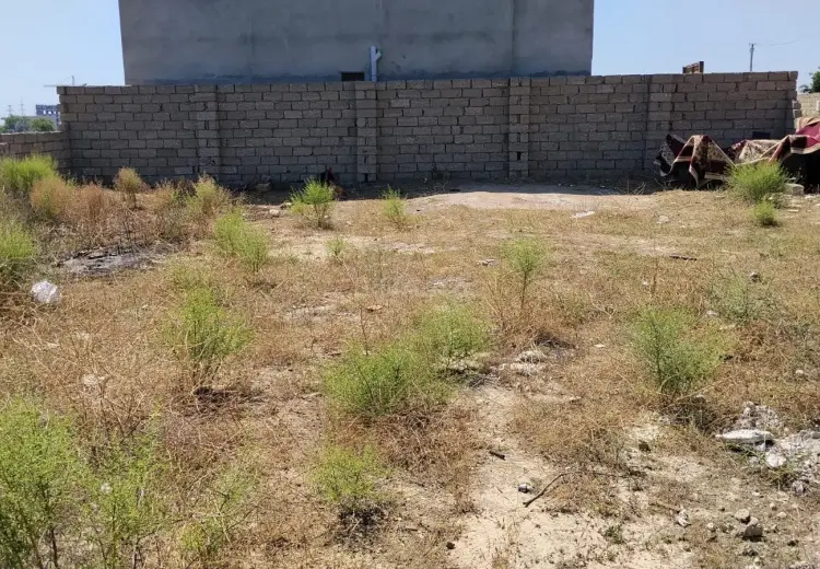 4 sot Torpaq Satılır, Abşeron