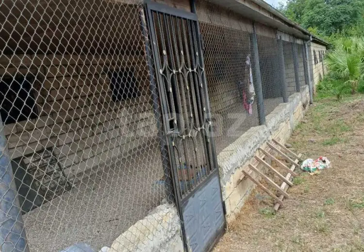 0 m² Obyekt / Ofis , Masallı