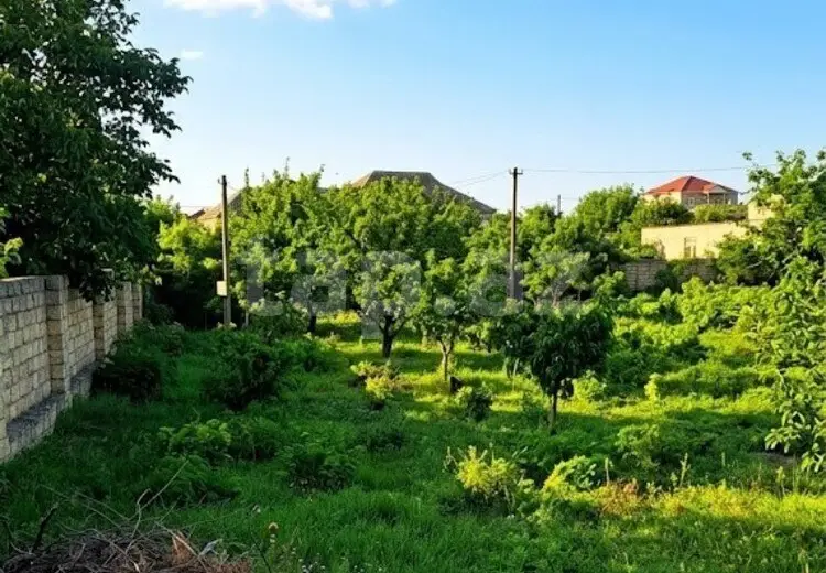 0 m² Obyekt / Ofis , Novxanı, Abşeron