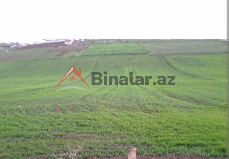 0 sot Torpaq Satılır, Cəlilabad