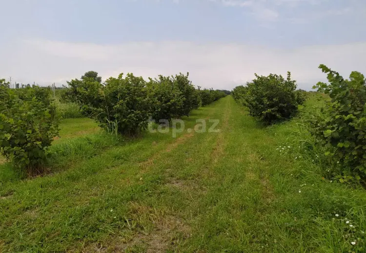 0 m² Obyekt / Ofis , Xudat